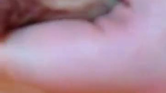 Oriental large melons
